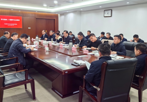 市文化和旅游局党组理论学习中心组学习会专题学习贯彻党的二十届四中全会精神