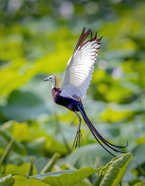 市文化和旅游局党组理论学习中心组学习会专题学习贯彻党的二十届四中全会精神